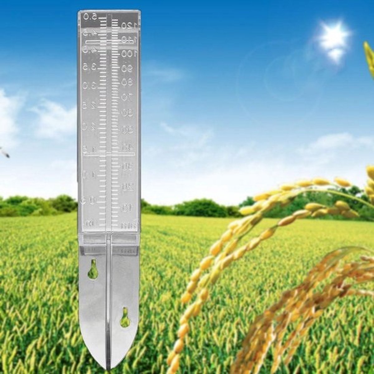 Regenmeter 120 ml kunststof dubbele schaal - meetinstrument voor helder water - bodemwatermeter voor tuin en gazon