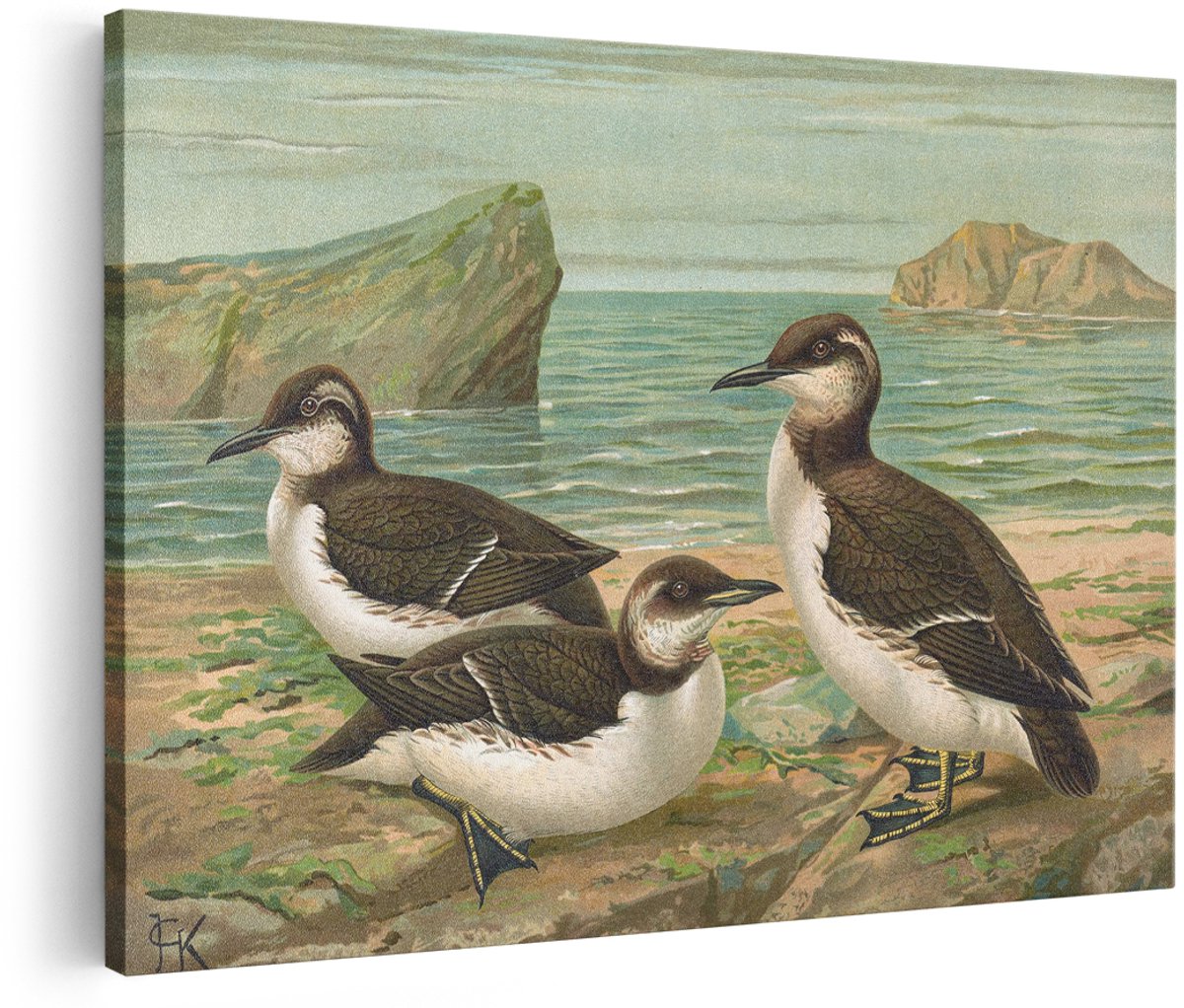 Artaza Canvas Schilderij Alken - 180x120 cm - Groot - Wanddecoratie Vogels - Muurdecoratie Zee - Schilderij Natuur Vintage