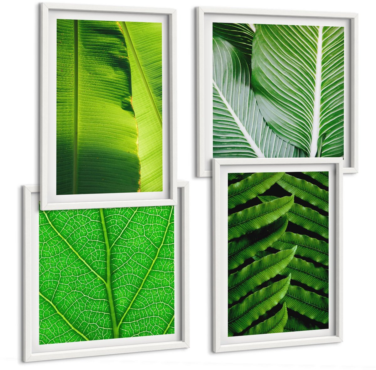 Wallfluent 4-Delige Schilderij Set - Close-Ups Van Tropische Bladeren - 40 x 40 En 40 x 60 - Muurdecoratie - Wanddecoratie - Slaapkamer - Moderne Wanddecoratie