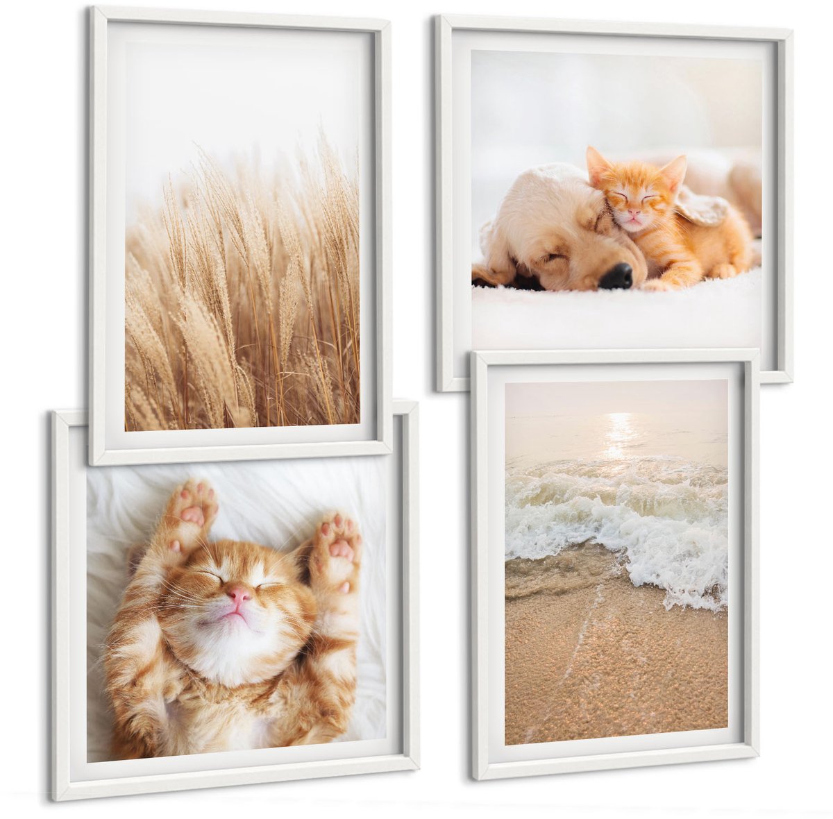 Wallfluent 4-Delige Schilderij Set - Schattige Dieren Katten Honden Strand Gras Boho - 40 x 40 En 40 x 60 - Stijlvolle Wanddecoratie - Interieur - Stijlvolle Muurdecoratie