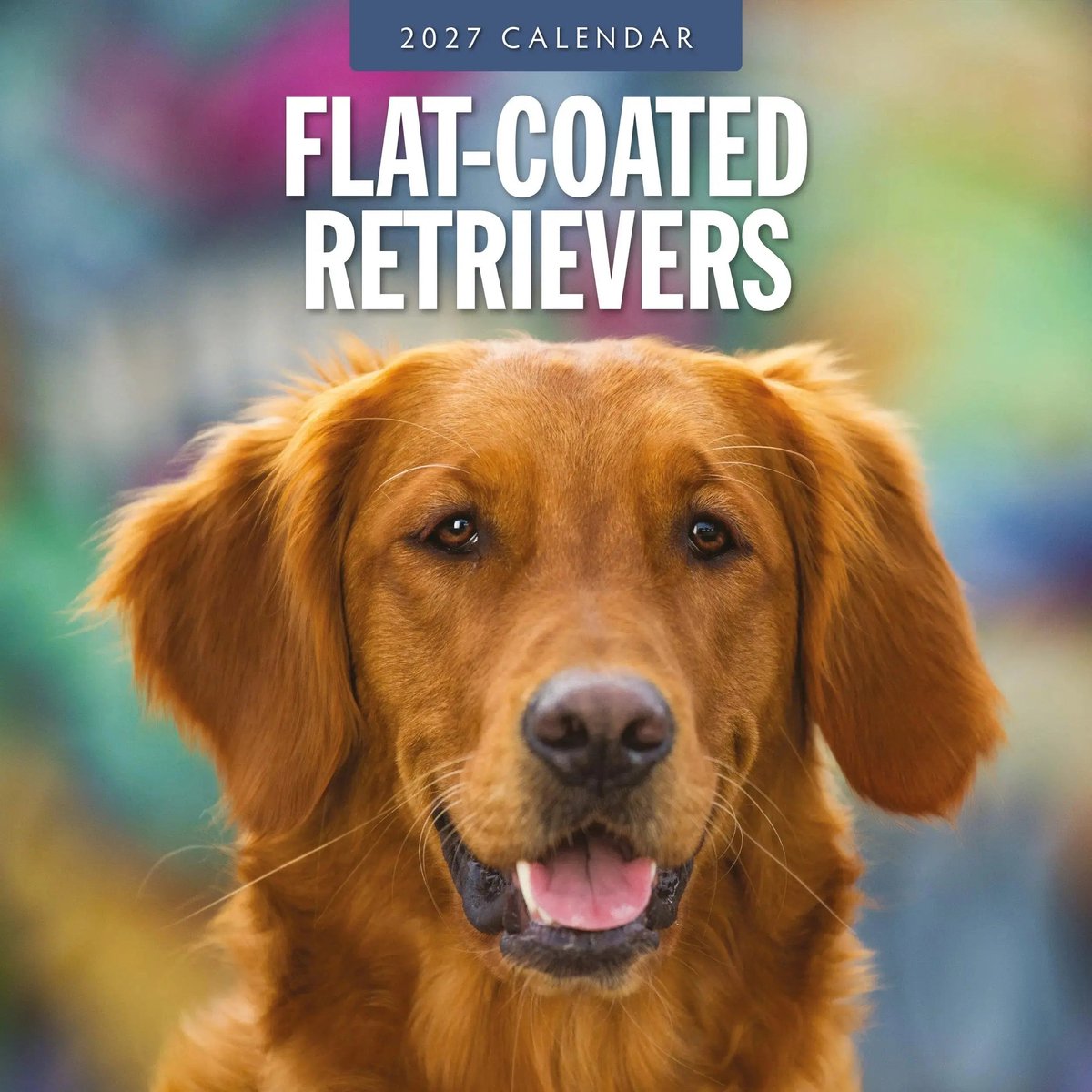 Flatcoated Retriever Kalender 2027