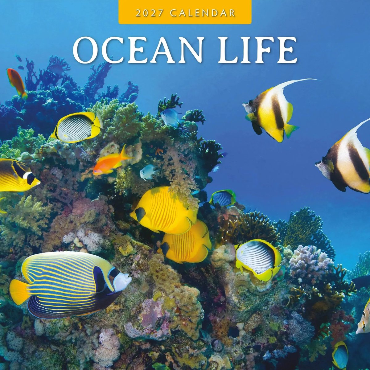 Ocean Life Kalender 2027