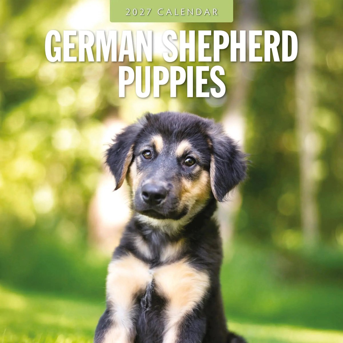 Duitse Herder Puppies Kalender 2027