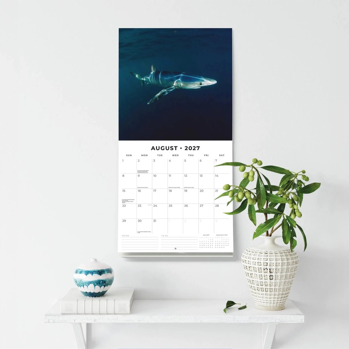 Haaien Kalender 2027