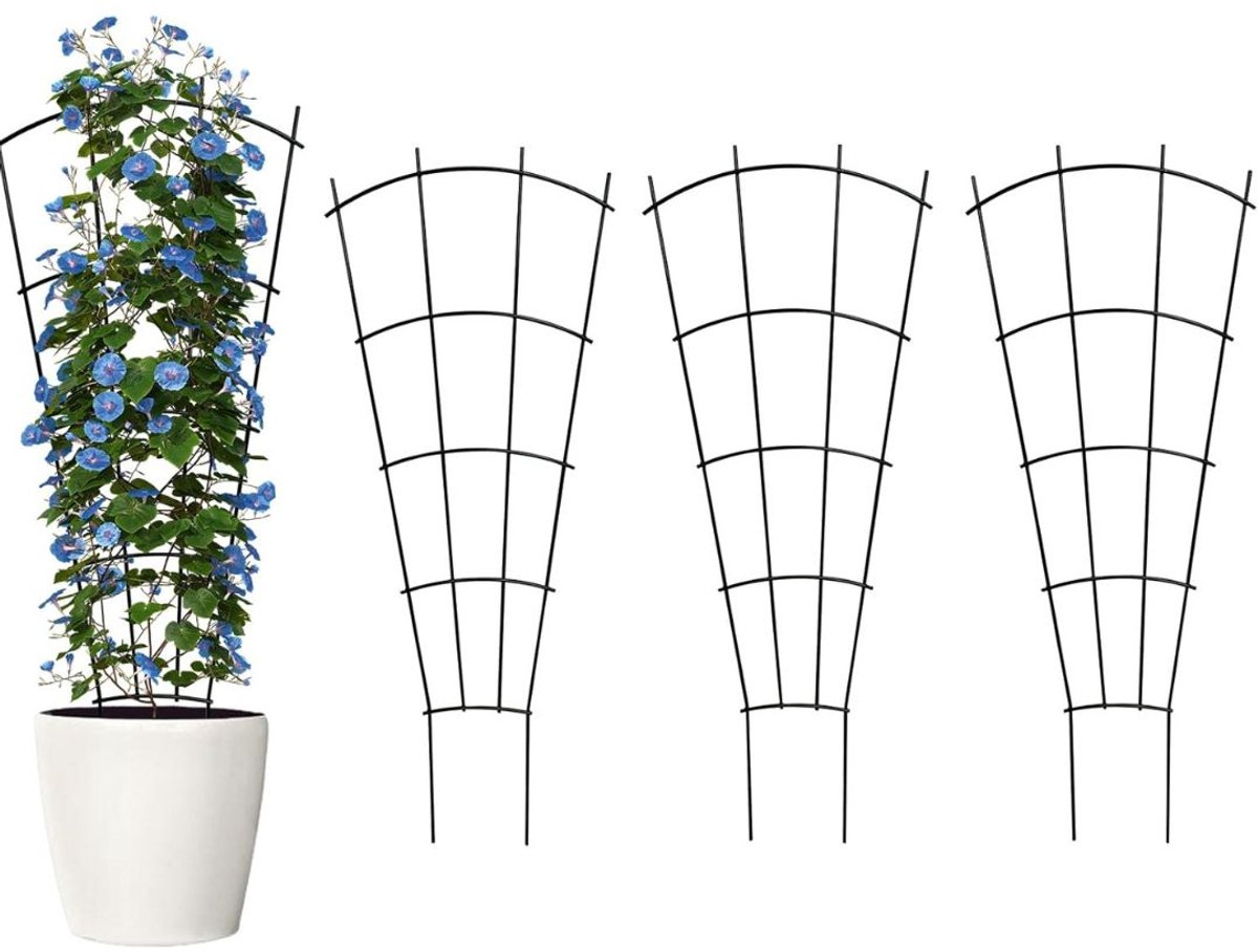 DailySupplies® Klimrek Planten - Plantensteunen voor Klimplanten - Wandrek voor Buiten - Zwart - 30x80cm