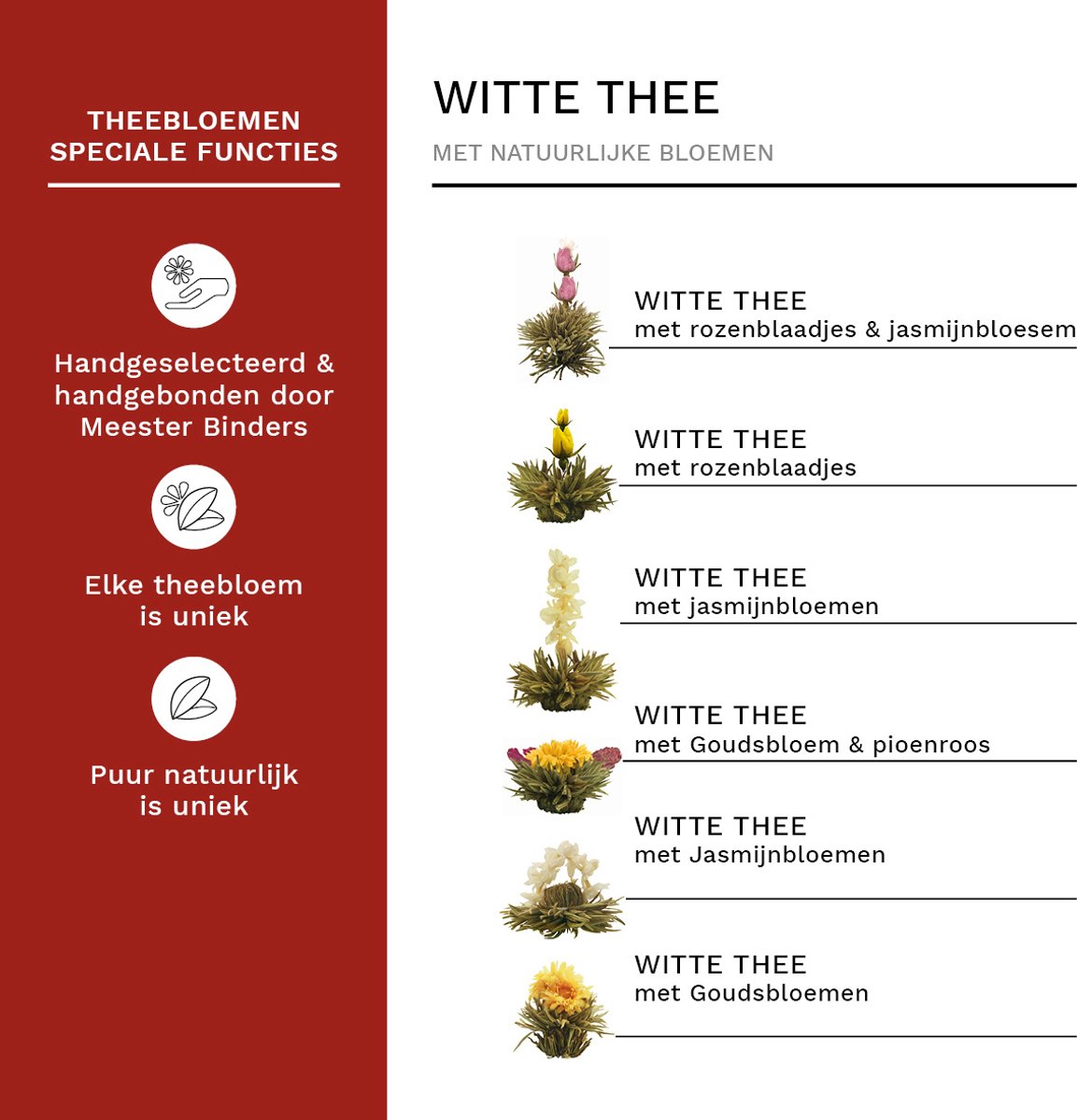 Creano theebloemen-mix cadeauset met 500ml theepot in luxe houten kist met 6 verschillende soorten bloementhee (witte thee)