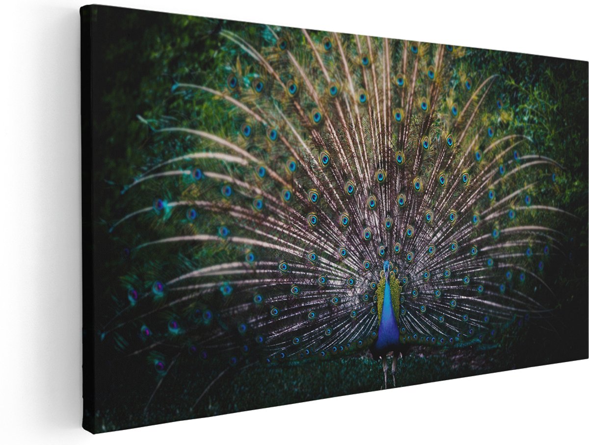 Artaza Canvas Schilderij Pauw Met Kleurrijke Veren - Kleur - 140x70 cm - Groot - Wanddecoratie Woonkamer - Schilderijen - Muurdecoratie
