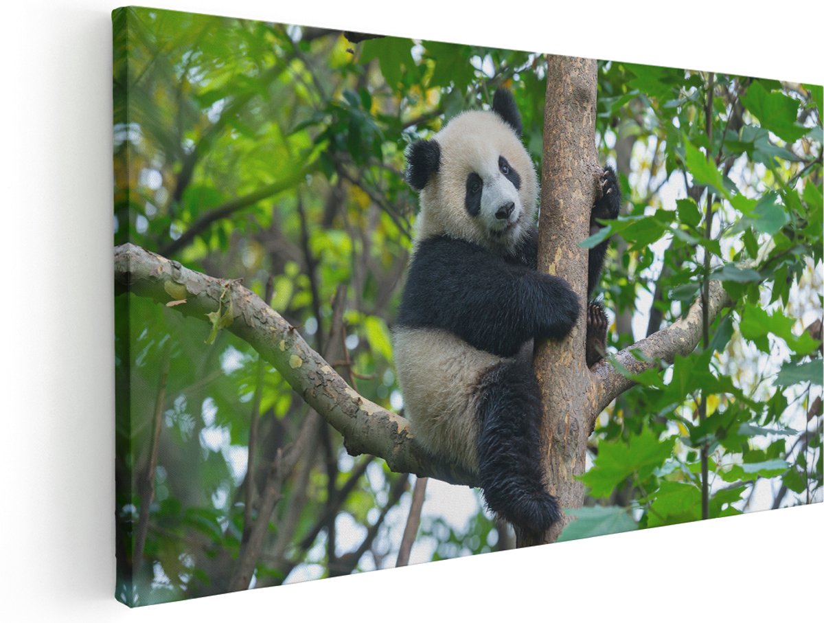 Artaza Canvas Schilderij Panda in de Bomen - 140x70 cm - Groot - Wanddecoratie Woonkamer - Schilderijen - Muurdecoratie