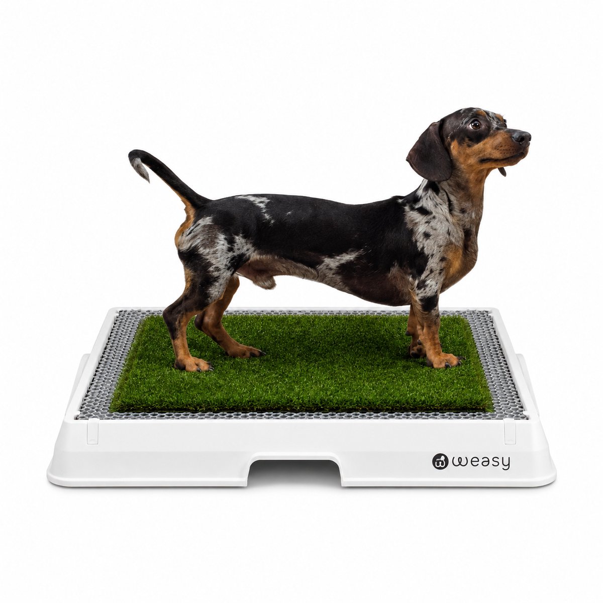 Weasy – Slim potje voor honden – Wit en grijs – Gemiddeld – Met Weasy Bag en synthetische grasmat