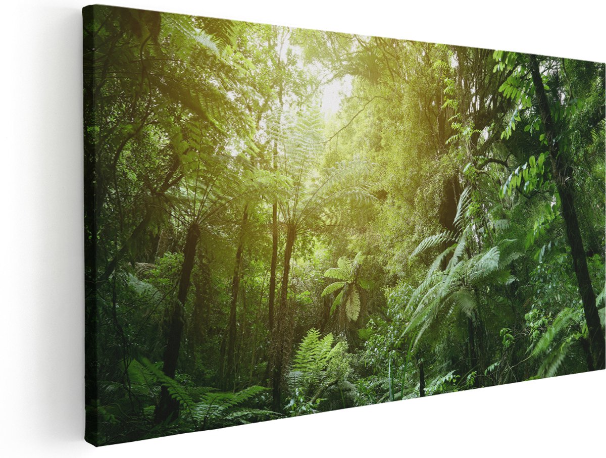 Artaza Canvas Schilderij Tropische Jungle Met Zonneschijn - 180x90 cm - Groot - Wanddecoratie Woonkamer - Schilderijen - Muurdecoratie