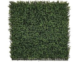 Verticale Tuin Buxus - Kunsthagen Rol - Muurdecoratie - UV- en Vochtbestendig - 100 x 100 cm - Groen