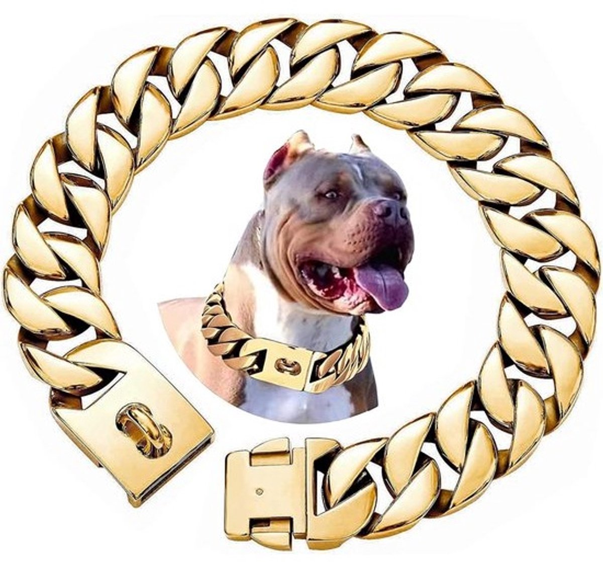 Zeer Sterke Halsband Hond Groot – Dikke RVS Cuban Link Ketting met Gesp – 18K Goud Afwerking