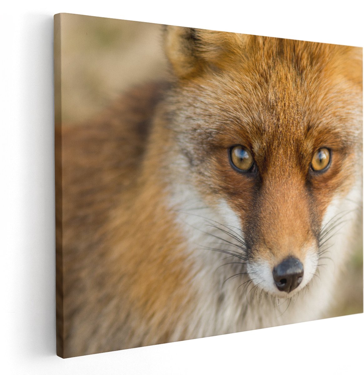 Artaza Canvas Schilderij Vossenkop met Bruine Ogen - Vos - 150x120 cm - Groot - Wanddecoratie Woonkamer - Schilderijen - Muurdecoratie