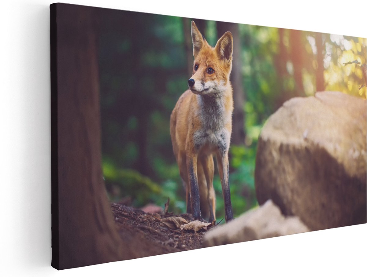 Artaza Canvas Schilderij Vos in het Bos bij Stenen - 160x80 cm - Groot - Wanddecoratie Woonkamer - Schilderijen - Muurdecoratie