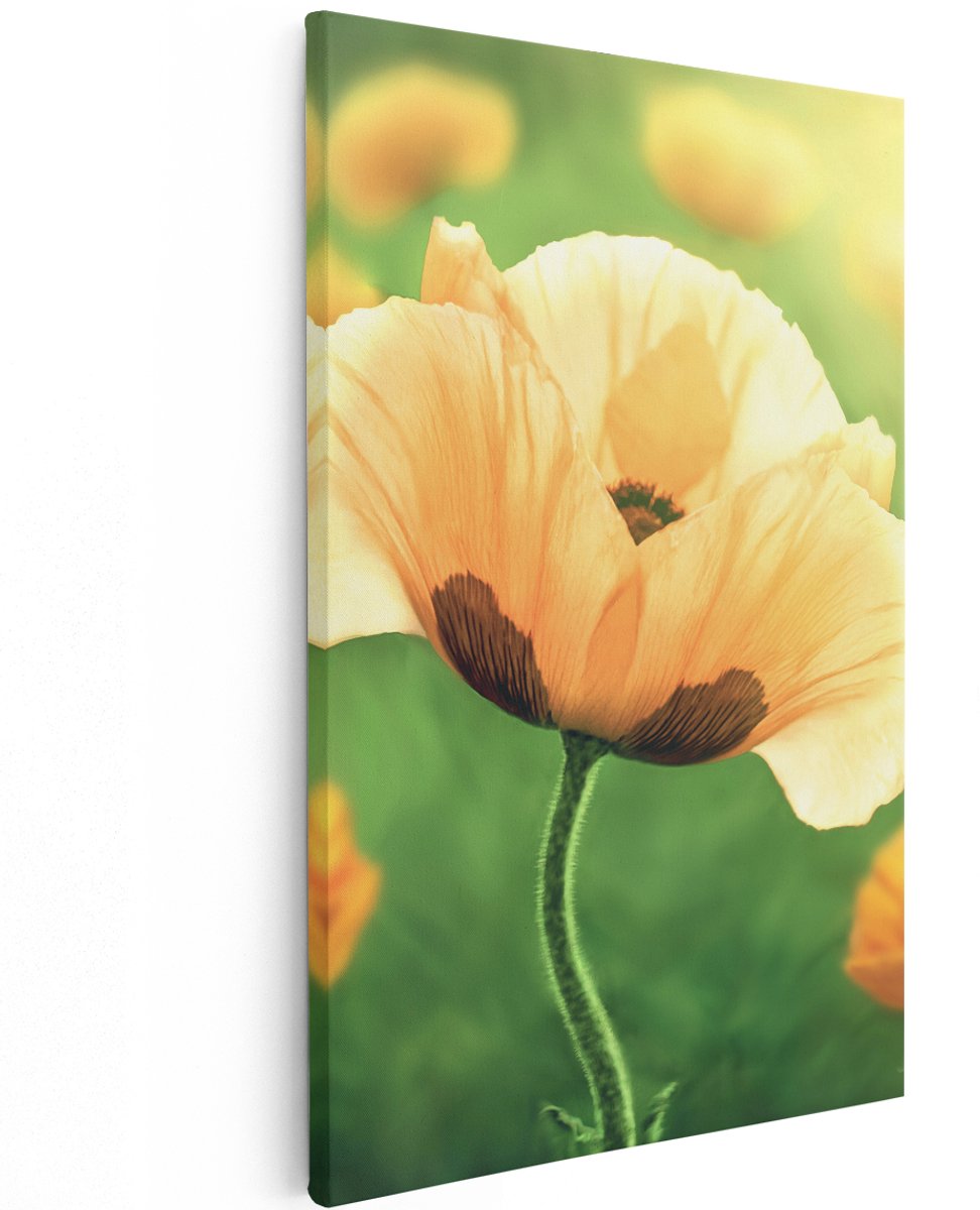 Artaza Canvas Schilderij Oranje Klaproos Bloemen - 120x180 cm - Groot - Wanddecoratie Woonkamer - Schilderijen - Muurdecoratie