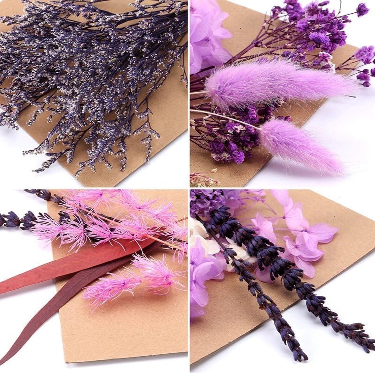 Droog Bloemenboeket met Echte Geperste Bloemen voor DIY Projecten, Epoxy Resin, Sieraden en Kaarsen Maken (Paars)