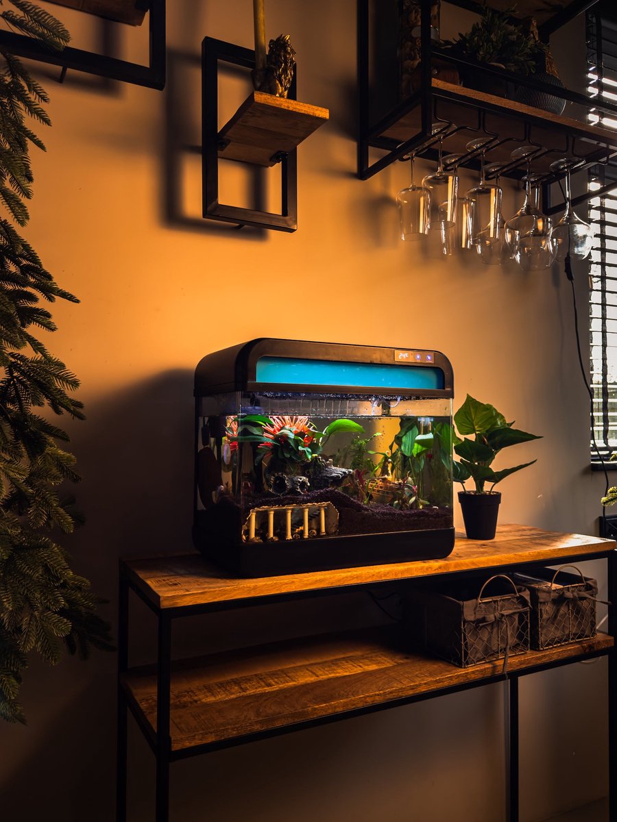 AquaImpact Zelfreinigend Aquarium 13 L – Set met 3-in-1 Pomp - Filter - LED‑verlichting - Luchtbevochtiger - Modern Design - Garnalen Aquarium thumbnail 2