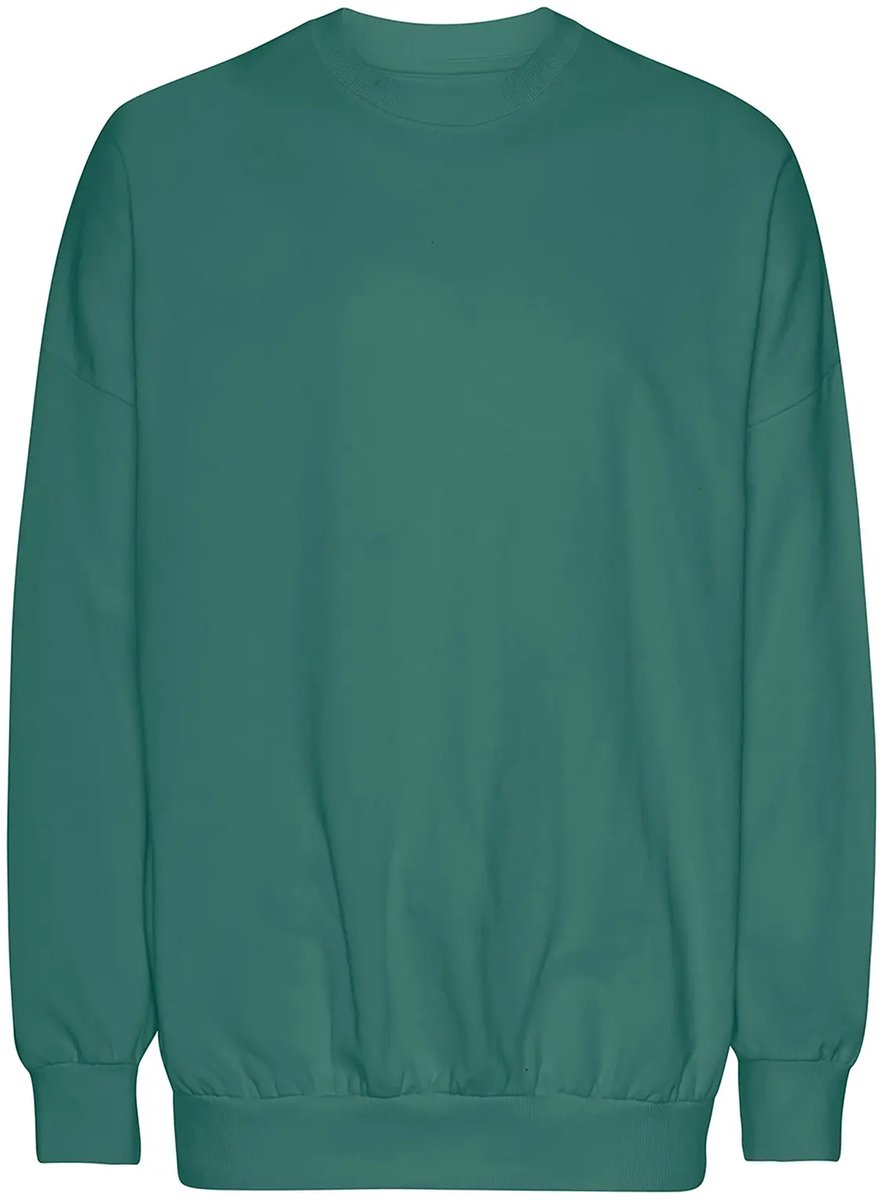 Neutral Oversized Sweatshirt NET63011 - Teal - M