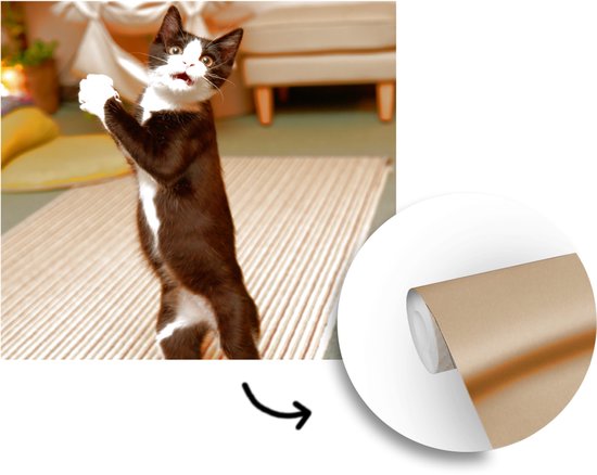 Behang - Fotobehang Kat - Woonkamer - Zwart - Breedte 240 cm x hoogte 240 cm