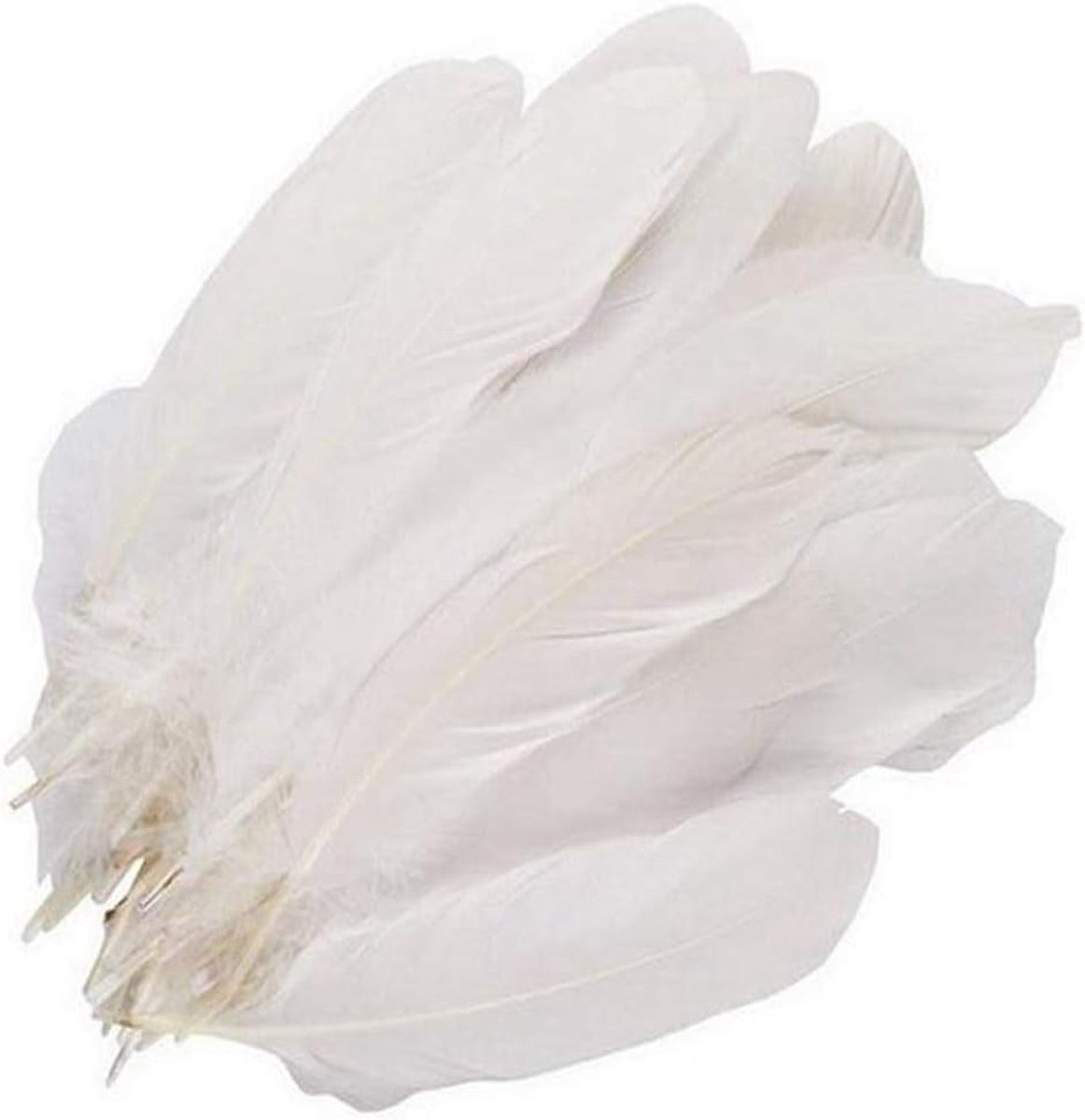 Veren, 15,2 tot 22,9 cm, knutselaccessoires voor thuis, bruiloft, verjaardag, kerstfeest, bloemendecoratie