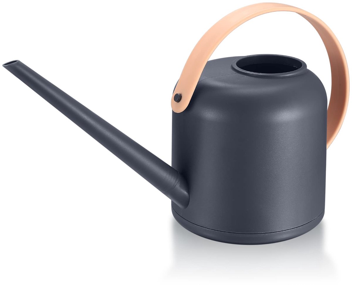 Dailygoods - Plant Waterkan met 1.7L Capaciteit - Perfect voor Binnen- en Balkonplanten
