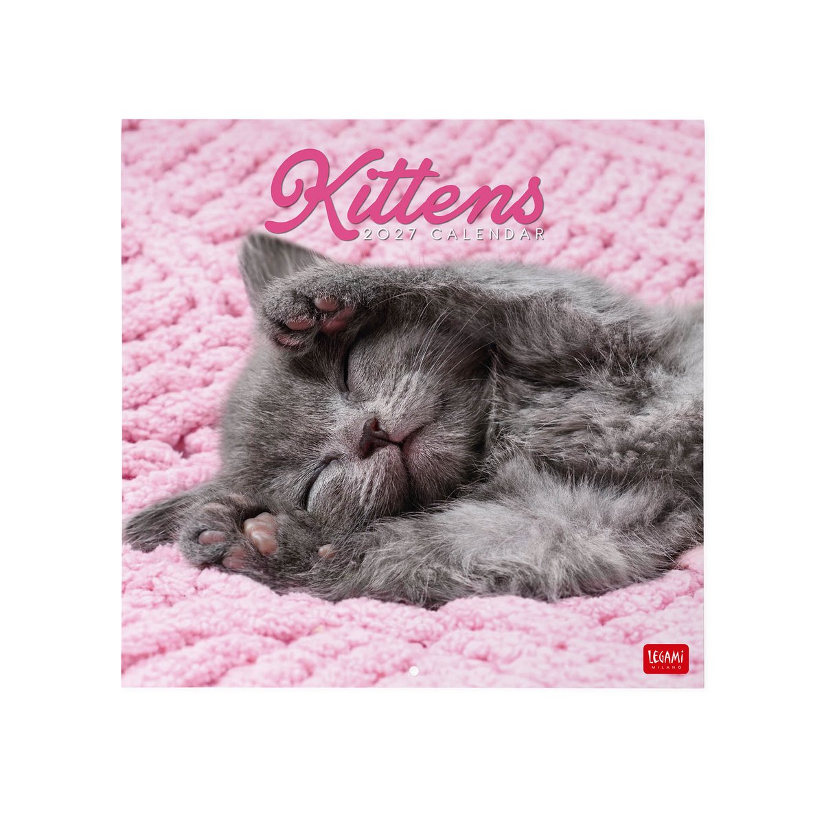 LEGAMI Katten - Kittens Kalender 2027