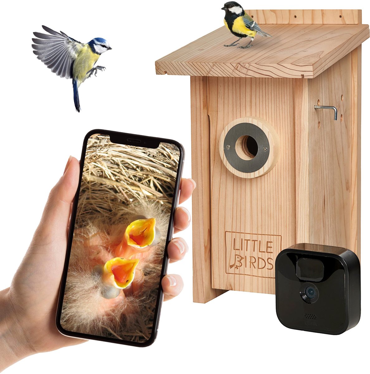 SnelShoppen - Little Birds camera-nestkast voor Blink camera, ecologisch massief hout, katten- en spekbescherming, broedbak, vogelhuisje, geen stroom