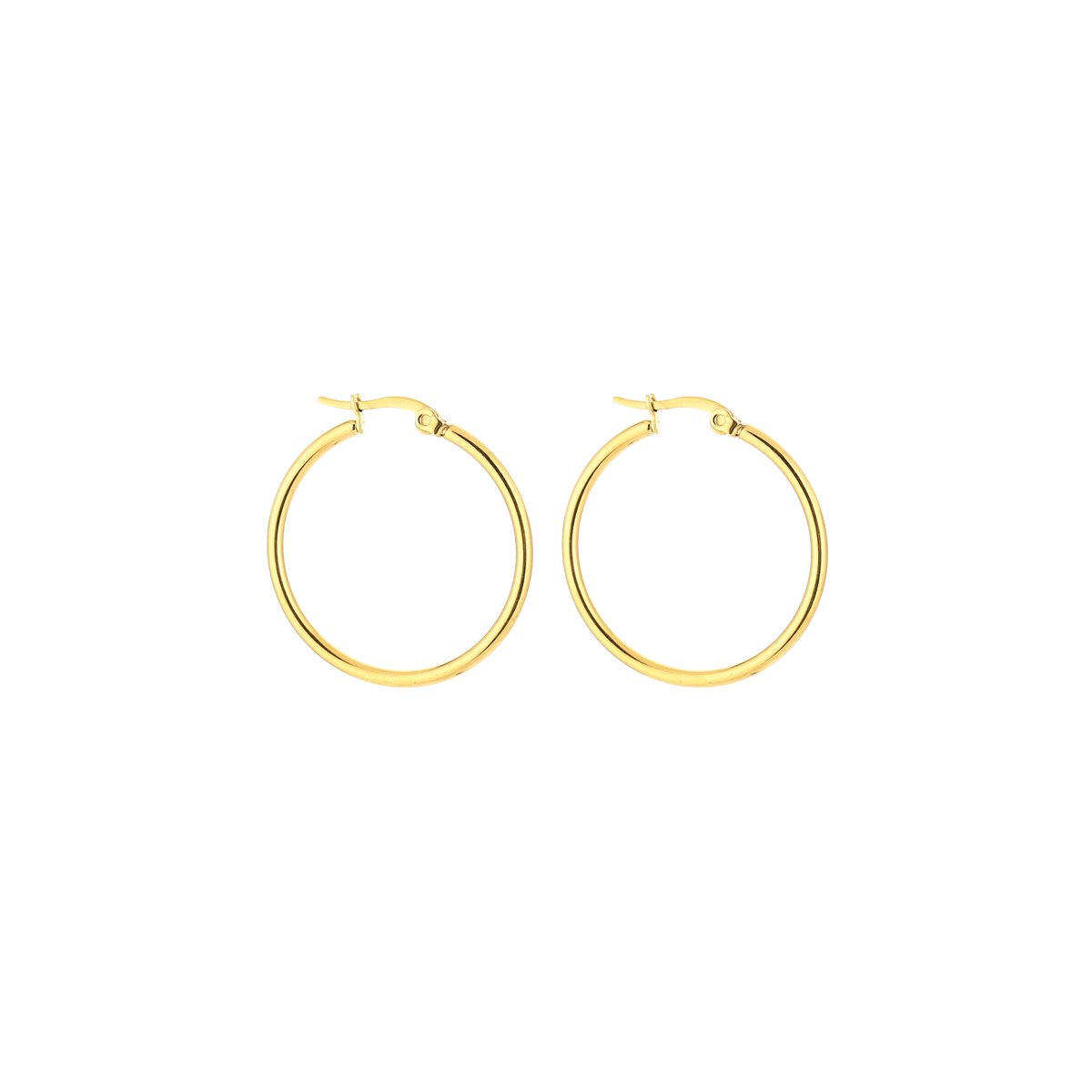Stainless Steel Klassieke Dunne Oorringen – Minimalistische 30mm Hoops – RVS - Goud
