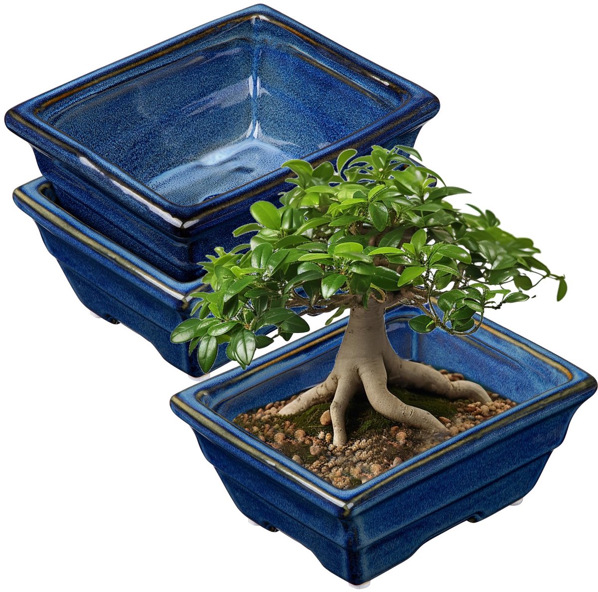 Dailygoods - Set van 2 Bonsai Potten - Shallow Succulent Planters met Afvoergat