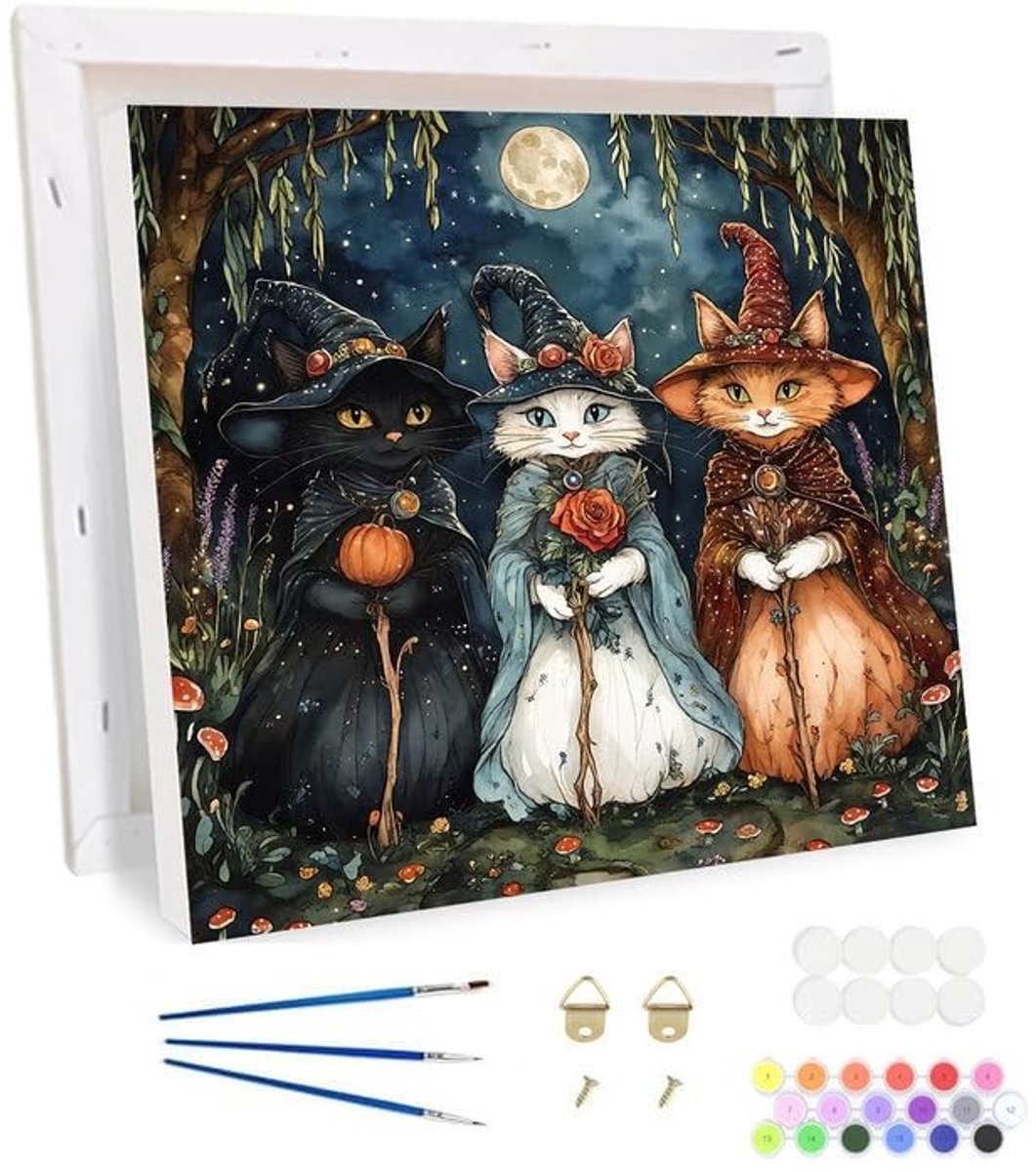 Schilderen op Nummer Kit - Halloween Kat - 30x30 cm