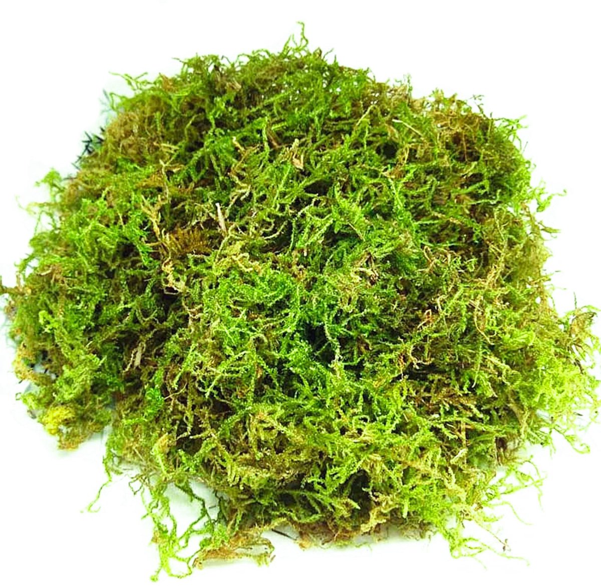 Kunstmos 200 g - Groen voor Decoraties