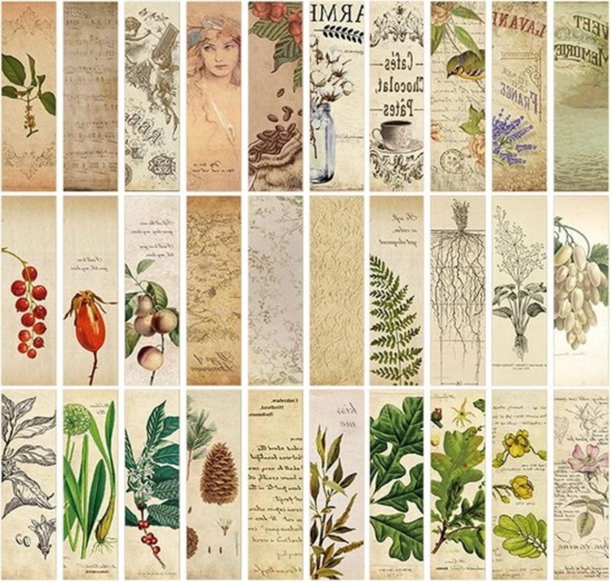 Bladwijzers Natuurlijke Stijl - Boekenleggers Groen Blad - Boeken Lezen - Creatief Ontwerp - 30 stuks - Groen