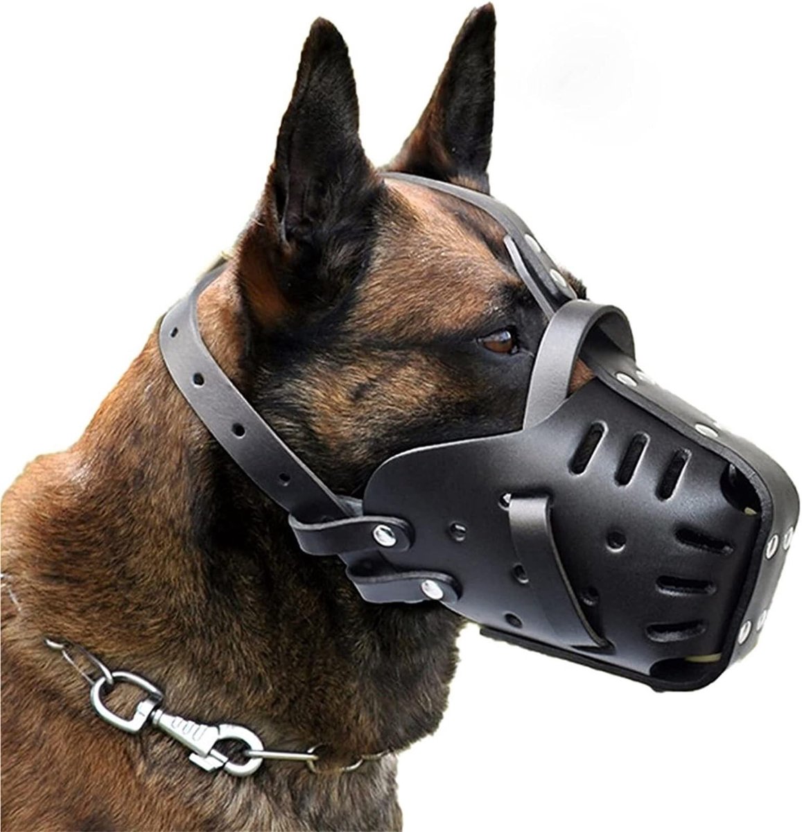 Leren Muilkorf voor Honden - Verstelbaar en Veilig - Zwart, L