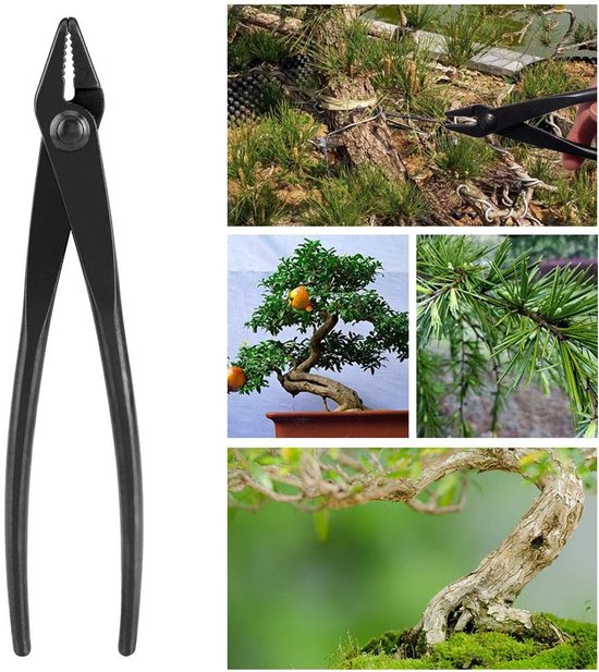Bonsai Tang - Tuin Tang - Boom Modelleren - Afgeronde Uiteinden - 200mm Lengte - Zwart — afbeelding 5
