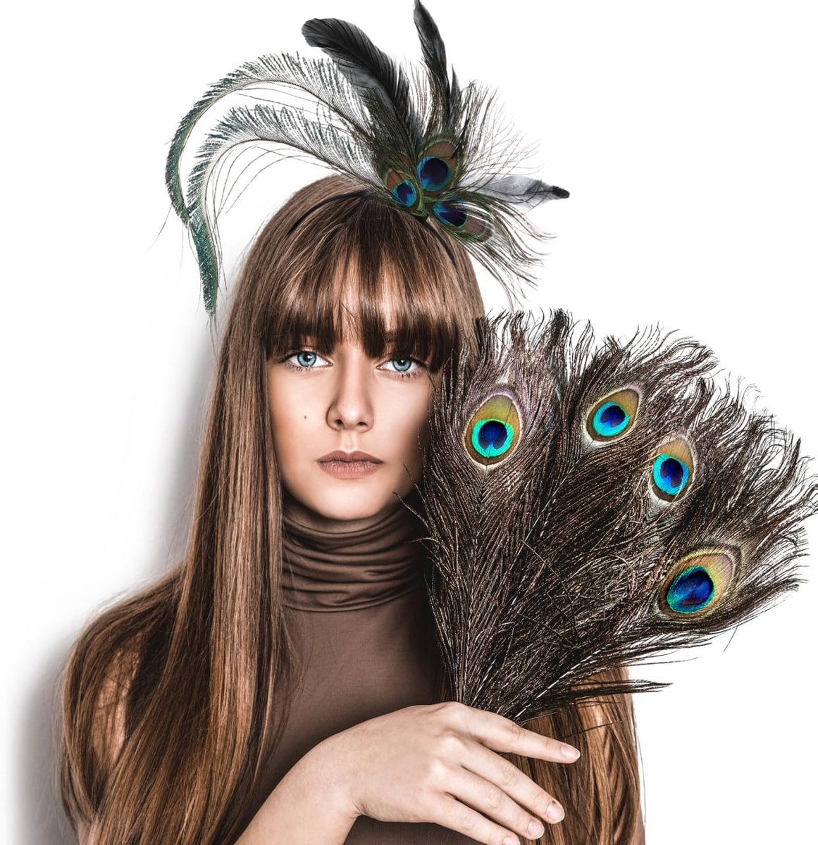Mardi Gras Plume Hoofdband met Veer, Fascinator voor Carnaval en Feestkostuums, Leuk Accessoire voor Feestjes