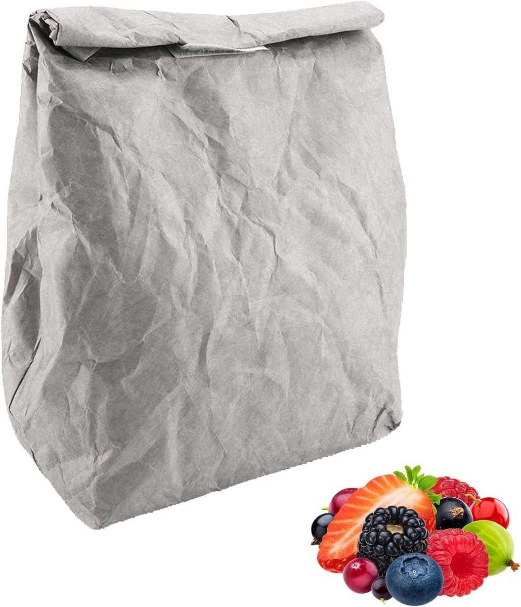 Geïsoleerde Lunchtas - Herbruikbare Tas - Voedsel Vers Houden - Warmte en Koude Isolatie - 31 x 30 cm - Grijs