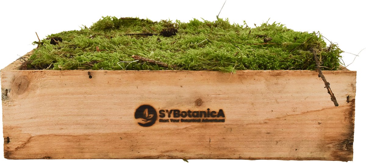 SYBASoil Levend Platmos 3L- Diepgroen - Duurzaam Geoogst