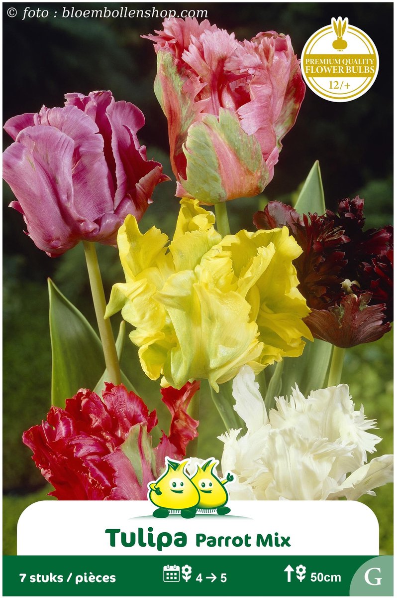 2 Zakjes Parkiet Tulpen Mix maat 12/+
