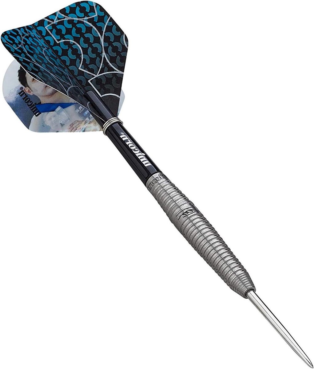Stalen Pijltjes - Dartpijlen Set - Precisie Werpen - Hoge Kwaliteit Wolfraam - 23 Gram - Zilverkleurig