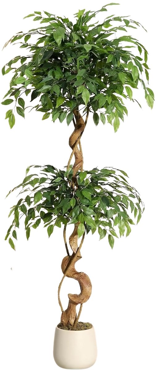 Kunstmatige Ficusboom - Met Gebogen Stam en Luxe Planter - voor woonkamer en kantoor - 152 cm Groen Kunstzijde - 183 cm