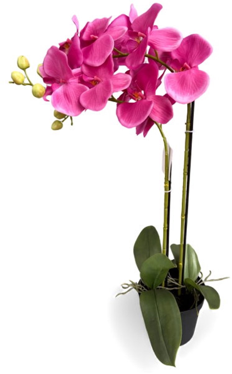 Orchidee fuchsia in pot H 63 cm kunstplant Oosterik Home