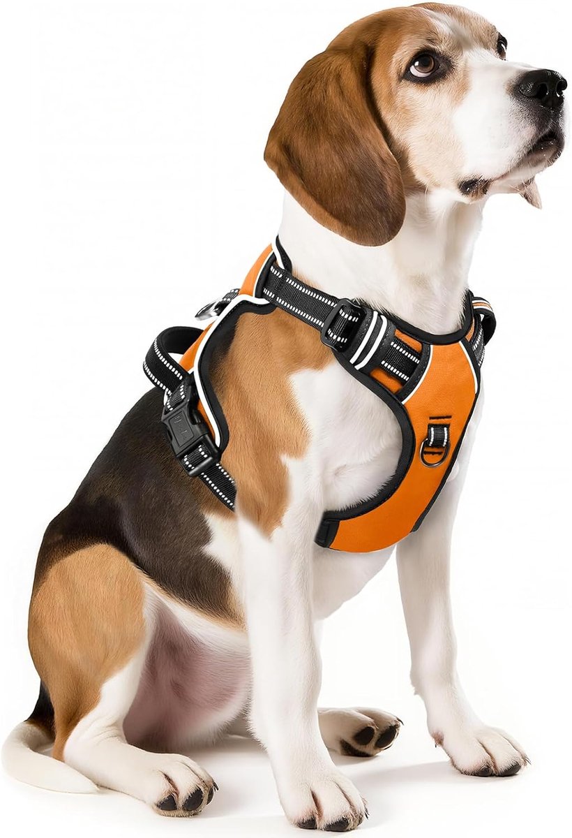 Thijox - Hondentuig Hondenharnas Middelgrote Honden No Pull Verstelbaar Reflecterend Oranje M - Veilig en Comfortabel voor Wandelen en Buitentraining