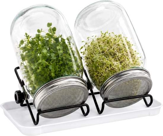 Kiemglas - 2 Stuks - 1000ML - Kiempot set - Groente kiemen - Kiempotten voor Kiemgroenten - Inclusief Houder