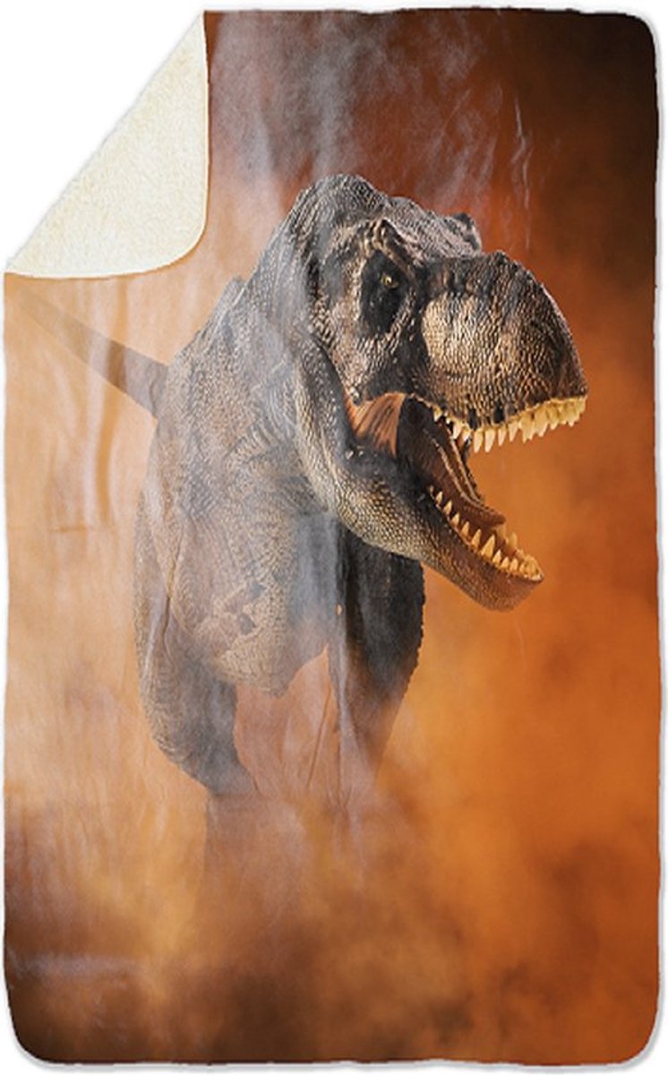 Fleecedeken Dino, FD2023402, 96x146cm, Polyester Sherpa, deken met print