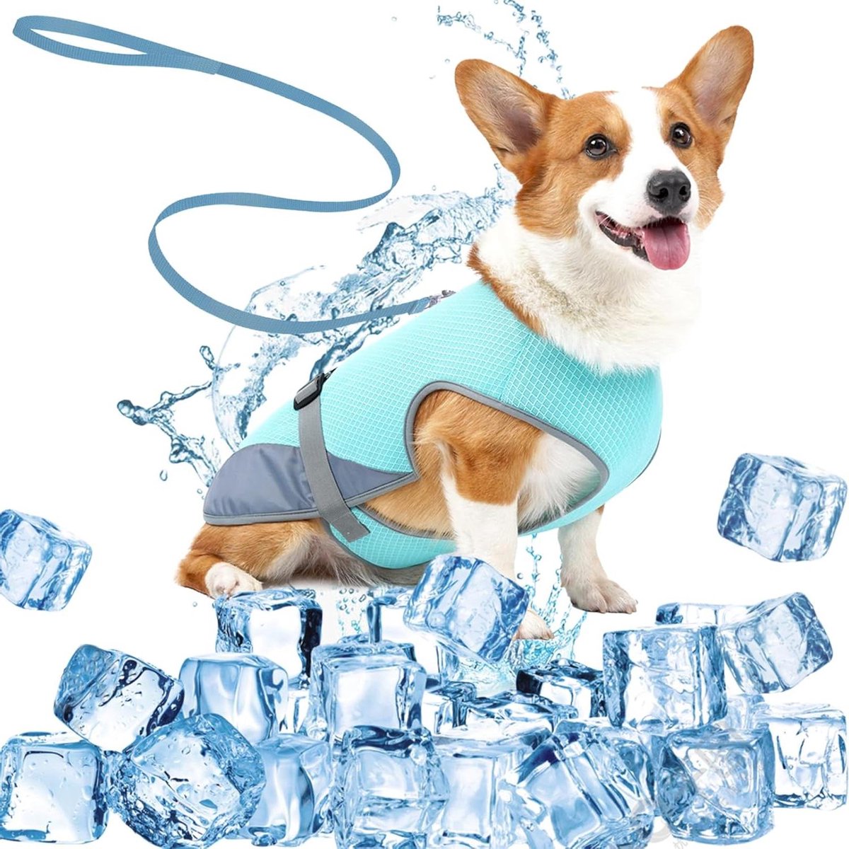 Hondenkoelvest - Koeljas huisdier - Zomerse activiteit - Ademend mesh materiaal - Maat M - Blauw