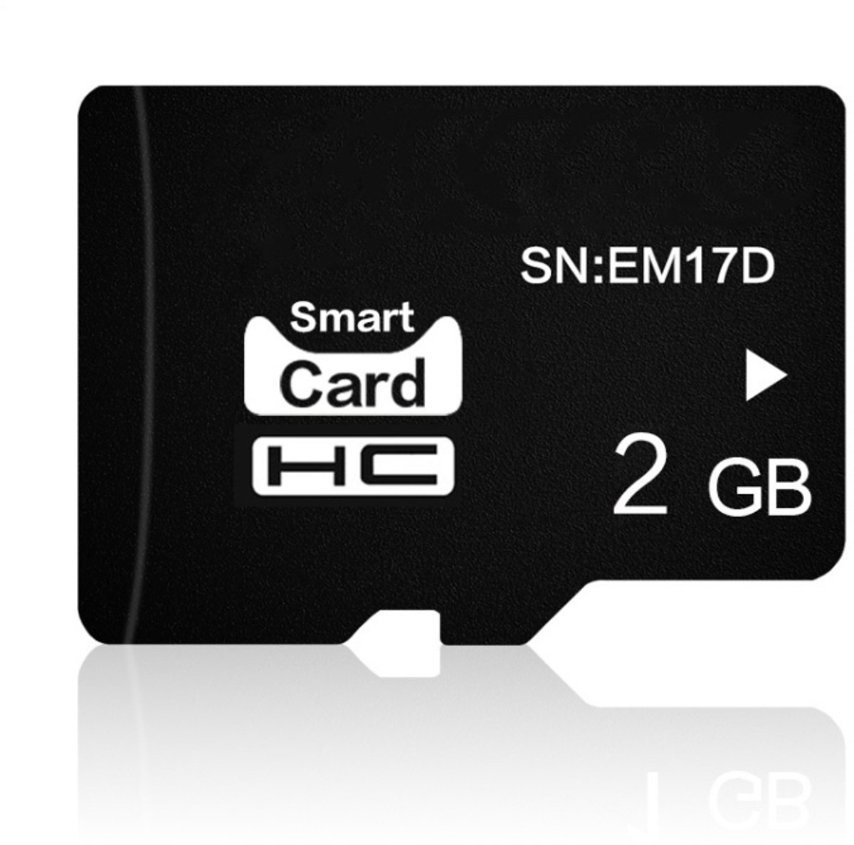 Eekoo 2GB CLASS 4 TF (Micro SD) -geheugenkaart