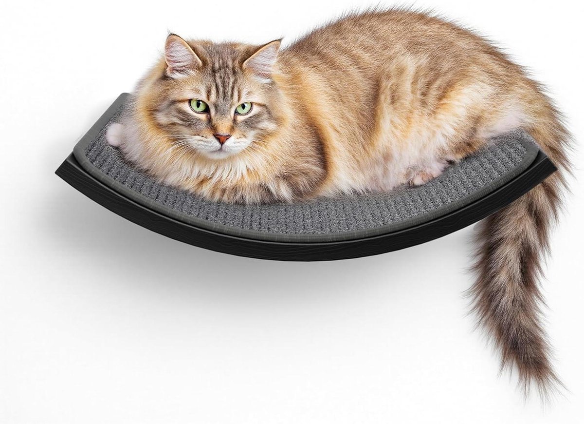 Gebogen Kattenplank - Kattenmeubel Wand - Klimmen Spelen - Flexibele Combinatie - 27 x 42 cm - Grijs