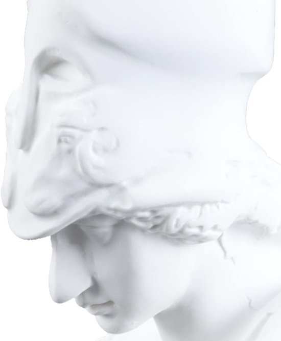 Set van 3 x Grieks hoofdbeeld Klassieke Griekse figuur Portretbuste Beeldjes Gipssculptuur Athena-beeld Hars Apollo-beeldje Ornamenten Schets Oefengod Buste Griekenland — afbeelding 3