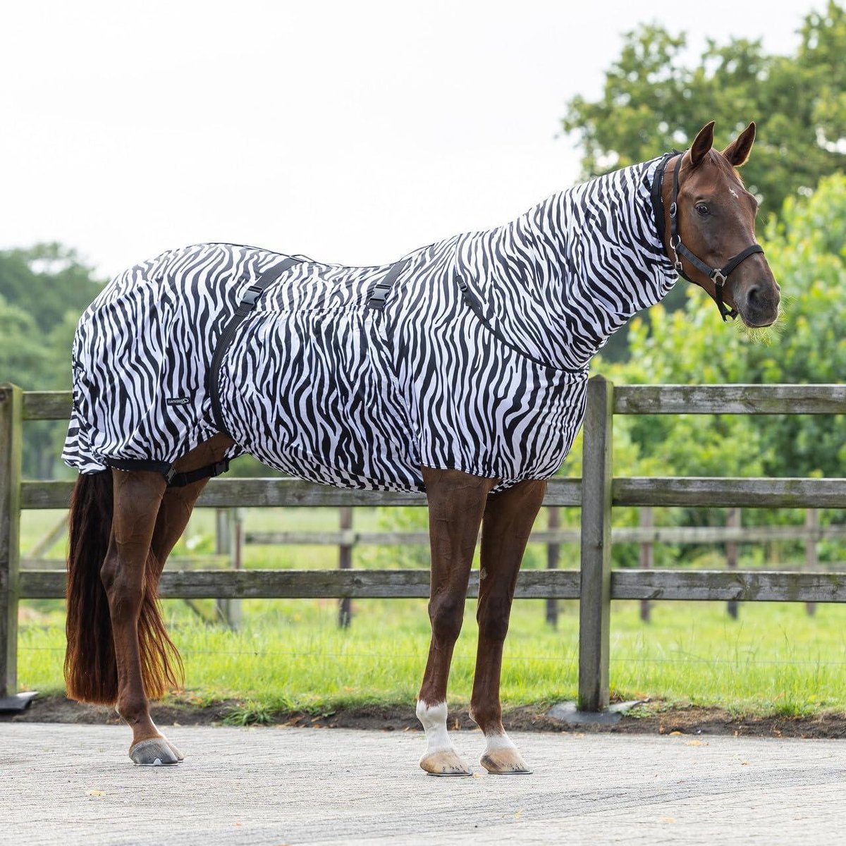 Paardendeken - Insecten deken - Vliegen weren - Zebrapatroon - 215 g/m² - Zwart
