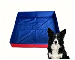 Baignoire pour chat – Piscine pliable pour chat – Mini-piscine pour chats et chiens – Pataugeoire pour animaux de compagnie – Plaisir de baignade estival – Rouge – 50 x 50 x 10 cm